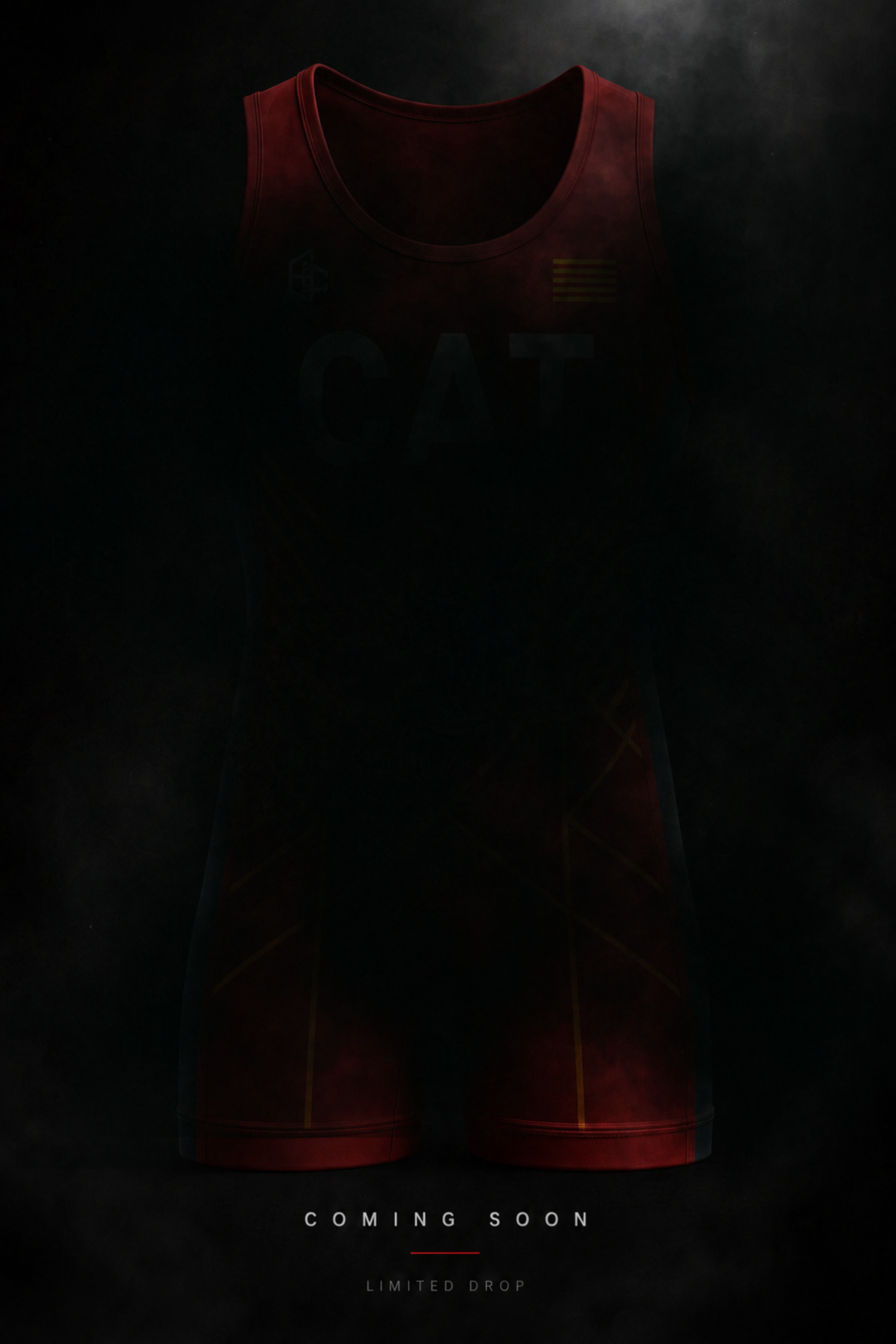 Singlet Catalunya